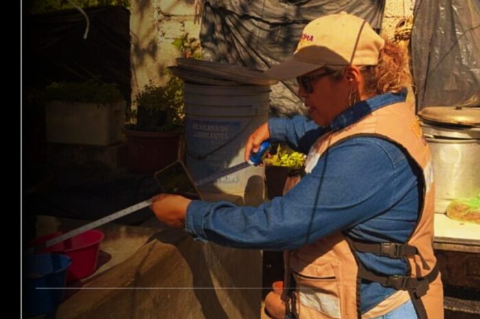 Salud Colima intensifica acciones contra el dengue en municipios de riesgo