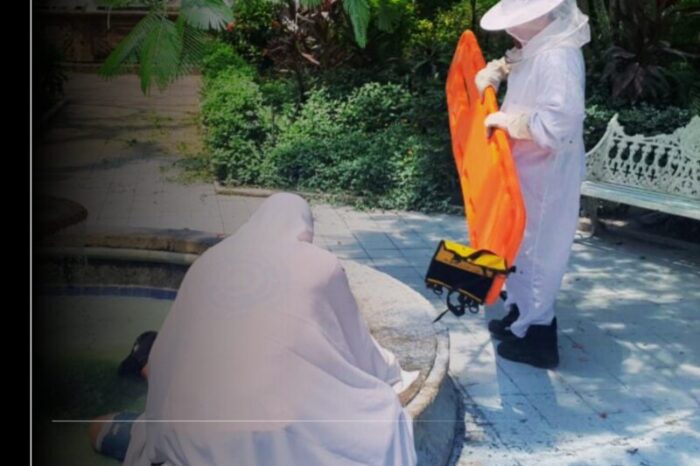 UEPC atiende a hombre atacado por enjambre de abejas en el centro de Colima