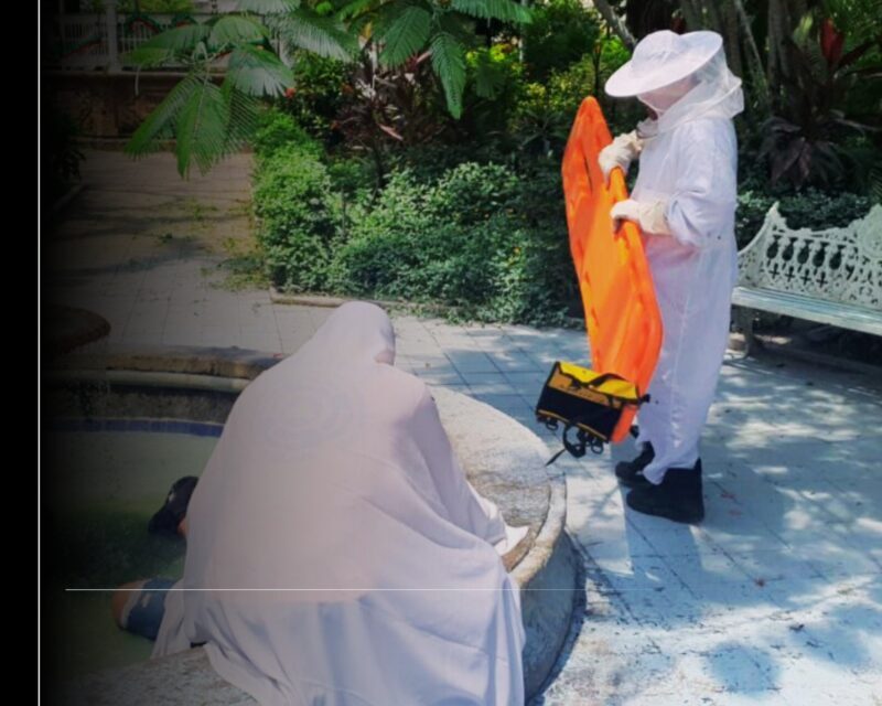 UEPC atiende a hombre atacado por enjambre de abejas en el centro de Colima