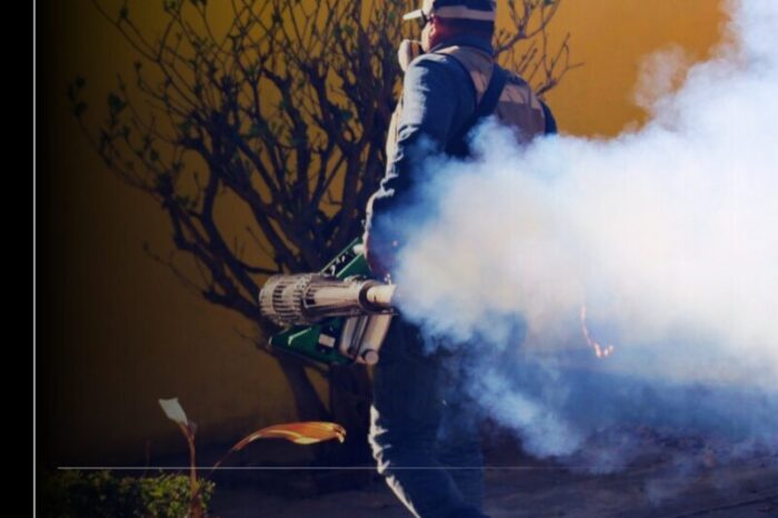 Utiliza Salud Colima larvicida e insecticida más amigable contra el dengue