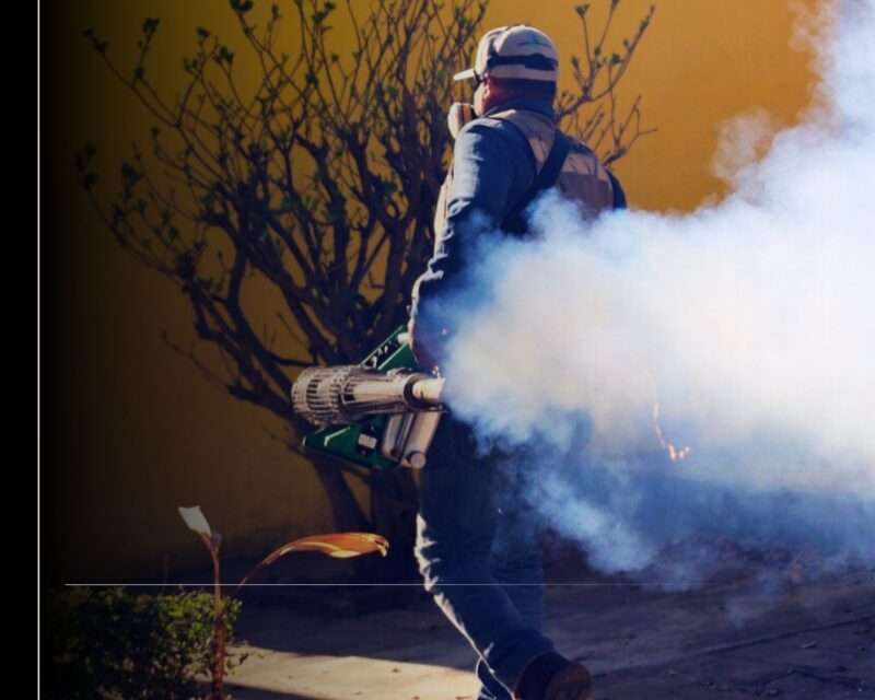 Utiliza Salud Colima larvicida e insecticida más amigable contra el dengue