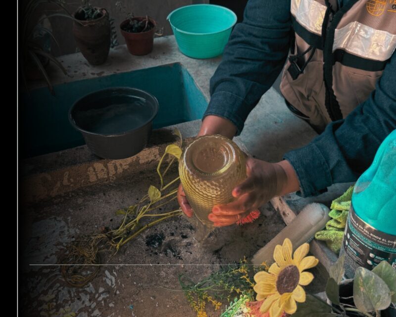 Intensifica Secretaría de Salud el control larvario en el Estado de Colima para prevenir el dengue