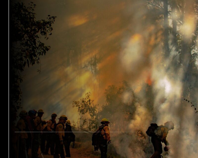 Quema prescrita en Ejido Quesería transcurre bajo control: Conafor e Imades