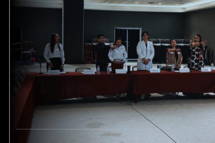 Salud Colima reinstala Comité de Morbilidad y Mortalidad Materna; es vital fortalecer la atención durante embarazo, parto y puerperio