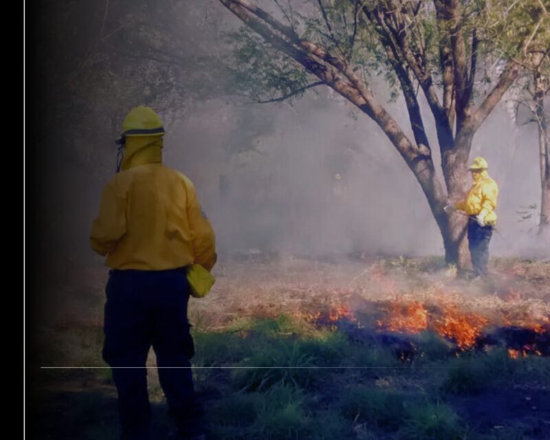 Brigada de Gobierno del Estado de Colima está lista para combatir incendios forestales