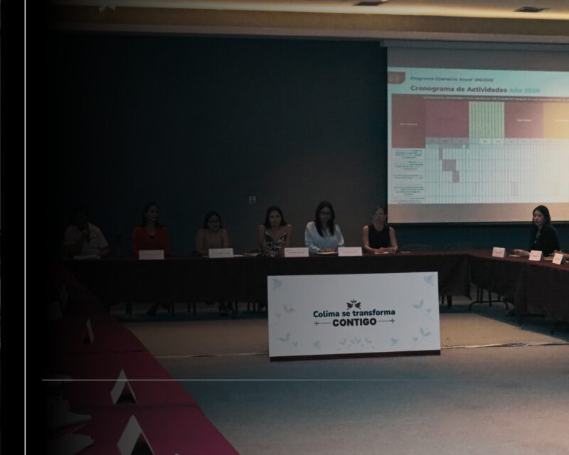 ICM presenta acciones de vinculación para elaborar estrategias de cumplimiento de la AVGM