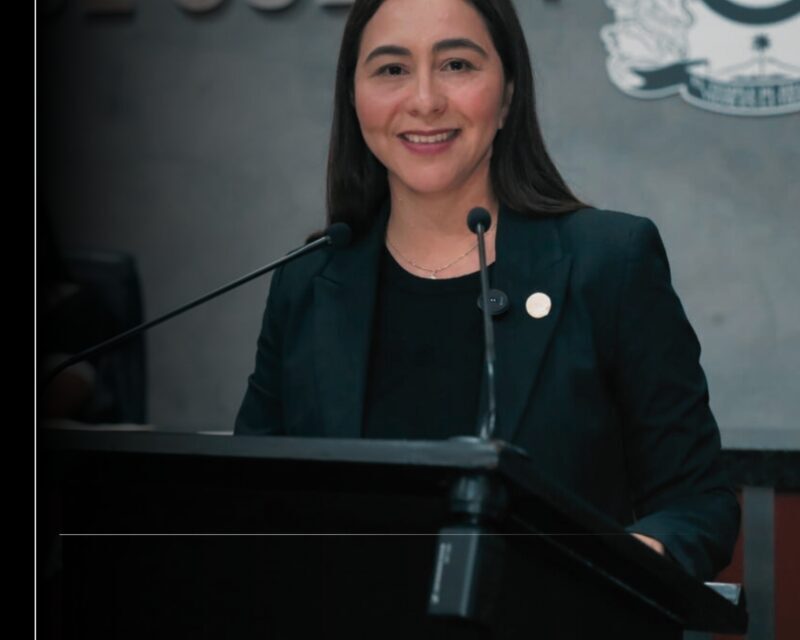 La Reforma Electoral busca reducir el costo de las elecciones y acercar las decisiones al pueblo: Andrea Naranjo