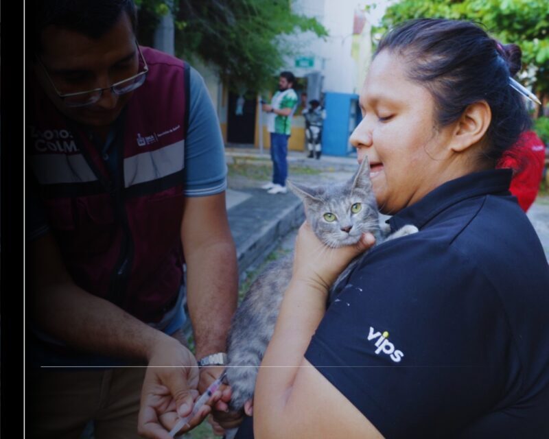 Salud Colima: del 24 al 28 de marzo se instalan 126 puntos de vacunación antirrábica en todo el estado; la vacuna es gratuita y segura