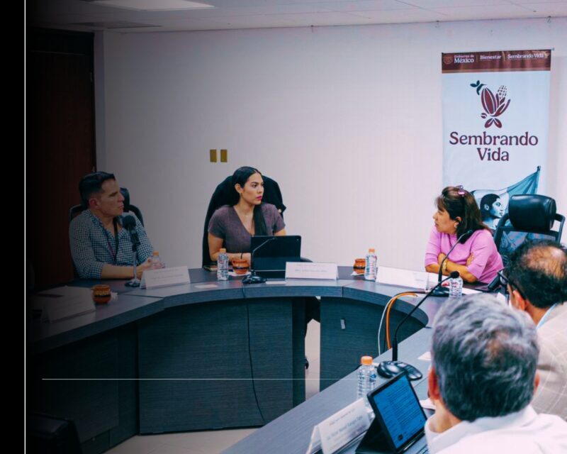 Portada, Colima, Gobierno del Estado, Gobernadora Indira Vizcaíno Silva, Gobierno de México