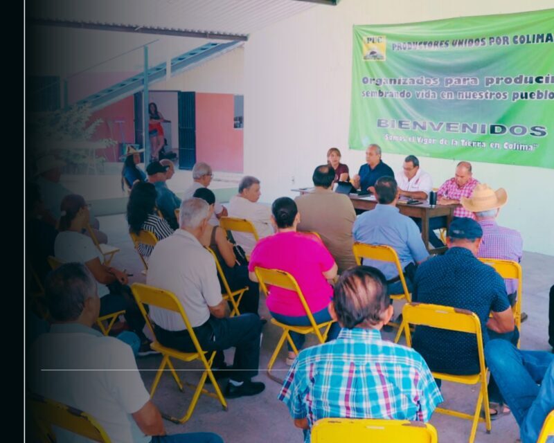 Sedeco y sector productivo impulsan el desarrollo en el estado de Colima