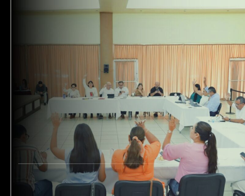 Autorizan estímulos fiscales para usuarios de Tecomán y Armería