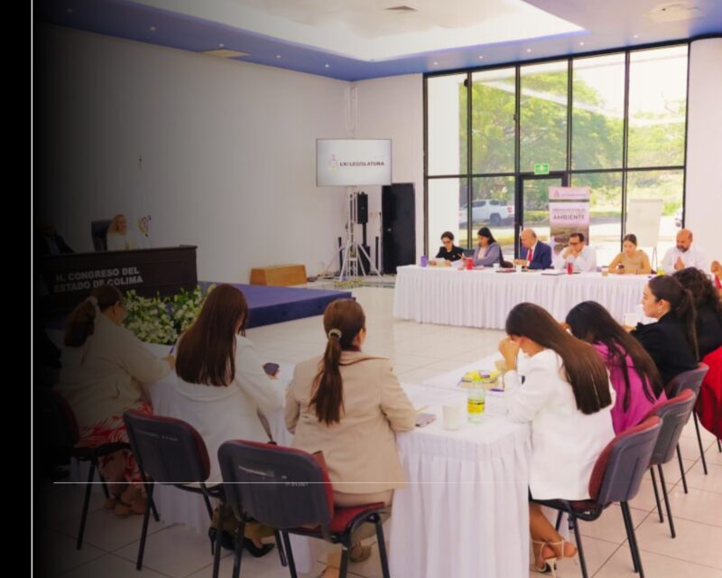 Congreso de Colima aprueba que partidos políticos destinen 6% de su financiamiento al liderazgo político de las mujeres