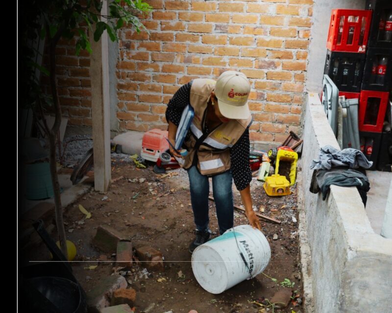 Salud Colima exhorta a reforzar prevención contra el dengue en los hogares
