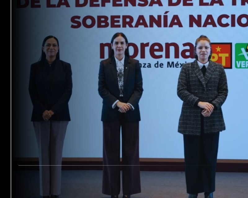 Rosi Bayardo gana la coordinación estatal con Morena y aliados; ahora va por la Gubernatura