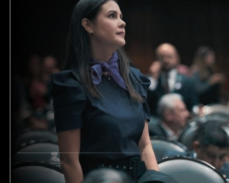 Rosi Bayardo formó parte de la Legislatura que convirtió en derechos constitucionales las bases de la Cuarta Transformación