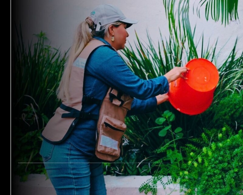 Salud Colima refuerza prevención contra dengue con estrategia ‘Lava, tapa, voltea, tira y poda’; pide participación de la gente